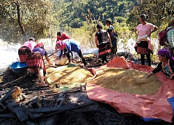 Điện Biên: Cháy nhà vì đốt lửa sưởi trong nhà gỗ