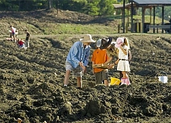 Nơi nhặt kim cương, vàng thỏa thích, tìm được mang về nhà không tốn một xu