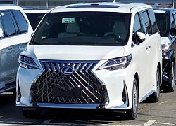 Lộ ảnh MPV hạng sang Lexus LM "bằng xương bằng thịt"