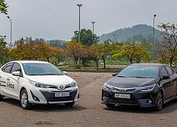 Toyota Việt Nam bán được hơn 6.600 chiếc trong tháng 11/2019