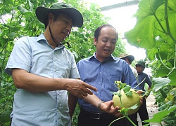 Bình Dương: Nông nghiệp công nghệ cao vươn lên mạnh mẽ