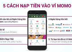 Cung ứng dịch vụ ví điện tử, tiền di động phải được Ngân hàng Nhà nước cấp phép