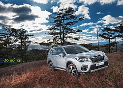 Đánh giá Subaru Forester 2019: An toàn, tiện nghi và khác biệt với phần còn lại của xe Nhật