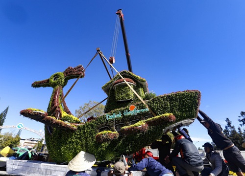 Hàng chục chậu hoa trưng bày ở Festival Hoa Đà Lạt bị kẻ gian bê trộm