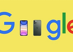 iPhone 11 là smartphone duy nhất lọt top tìm kiếm năm 2019 của Google