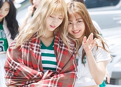 Jihyo và Momo (TWICE) bị bắt gặp quay phim tại SM: Lại thêm một màn kết hợp gây tò mò??