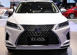 Lexus RX 2020 đẹp long lanh, như "hổ mọc thêm cánh" với loạt tính năng an toàn