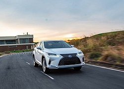 Lexus RX 2020 &#8211; SUV hạng sang cho doanh nhân ưa trải nghiệm