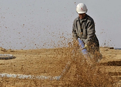 Mỹ tính kế vô hiệu hóa 'át chủ bài' trong chiến tranh thương mại của Trung Quốc