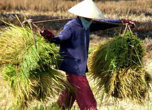 Những ngày cuối năm của mẹ