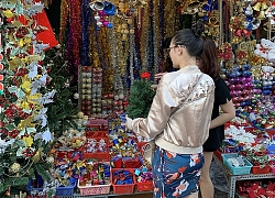 Thị trường Giáng sinh 2019: Cây thông nhập khẩu đắt khách