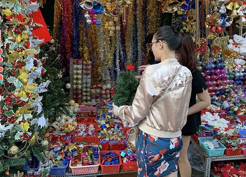 Thị trường Giáng sinh 2019: Cây thông nhập khẩu đắt khách