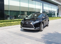 Lexus RX350 2020 cập bến đại lý, giá tăng khách hàng nhận lại gì?