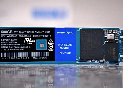 Western Digital ra mắt SSD NVMe Blue SN550 với mức giá không tưởng: 1TB chỉ khoảng 2 triệu rưỡi