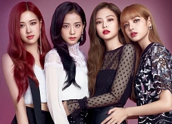 Blackpink sẽ comeback: Knet 'cà khịa' nhiệt tình, tiết lộ nhóm hầu như không có fan ở Hàn