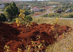 Đắk Nông: Vô số điểm vi phạm hành lang trên đường tránh Gia Nghĩa