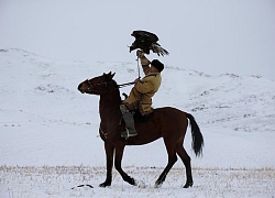 Đi săn cùng đại bàng vàng trên lưng ngựa ở Kazakhstan