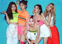 Đi tìm tân binh đỉnh nhất KPOP 2019: ITZY phá kỷ lục 3 năm của BLACKPINK, TXT nối tiếp thành công của BTS, X1 cùng Kang Daniel thống trị mảng album