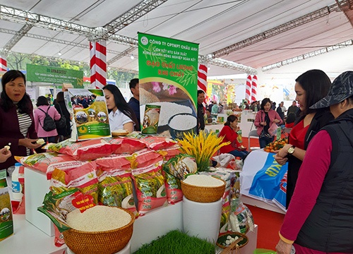 Hà Nội tăng tốc phát triển vùng và chuỗi sản xuất rau, thịt an toàn