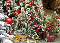 Hà Nội xuất hiện nhiều cây thông "siêu to khổng lồ" đón Noel 2019