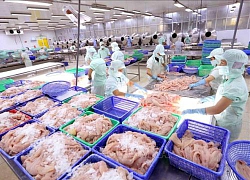 HACCP hay sự chuyên nghiệp trong đảm bảo an toàn thực phẩm