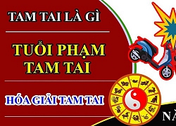 Hạn Tam Tai năm 2020: 3 con giáp này tránh làm gì và không nên đồng hành cùng ai?