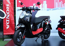 Honda Scoopy i bản đặc biệt ra mắt, giá 41,56 triệu đồng