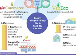 Sáp nhập Vincommerce, Masan sẽ chuyển mình ra sao?