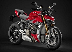 Sau Streetfighter V4, Ducati đang "âm mưu" tạo ra Streetfighter V2 "giá mềm" dựa trên Panigale V2?!