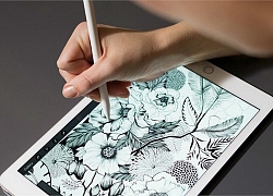 Cách dùng Apple Pencil chụp ảnh màn hình trên iPad