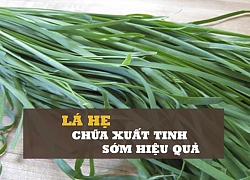 Chữa xuất tinh sớm bằng lá hẹ giúp cuộc yêu lâu hơn đến bất ngờ