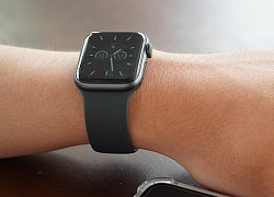 Đánh giá chi tiết Apple Watch S5: Một chút cải tiến nhỏ liệu có làm nên 'mùa xuân'?