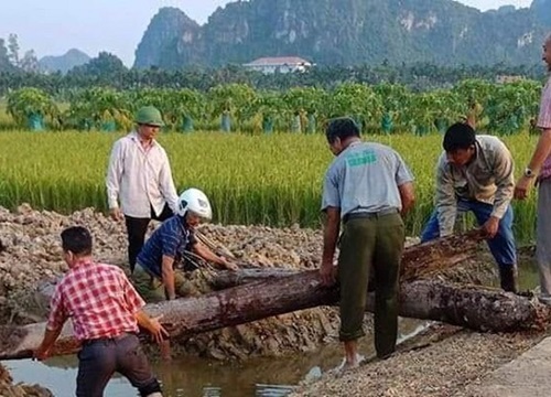 Hải Phòng khảo sát thực địa bãi cọc có thể liên quan đến chiến trường Bạch Đằng