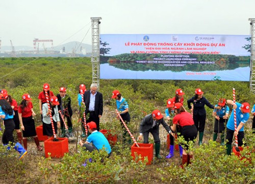 Khởi động dự án FMCR: Trồng mới 9.000ha rừng phòng hộ ven biển