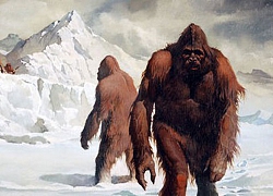 Lời giải quá choáng về sự tồn tại của quái vật Bigfoot