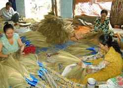 Tết đến nơi, nhà bao việc, đến nghề bó chổi cũng phải chạy đua