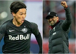 Từ Qatar, Klopp chào đón Minamino thế nào?