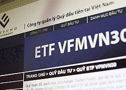 VFMVN30 ETF "vượt mặt" FTSE Vietnam ETF, trở thành quỹ ETF lớn thứ 2 trên thị trường Việt Nam