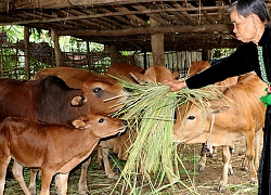 Dạy nông dân kiểu "Cầm tay chỉ việc", dễ làm theo, dễ thành công