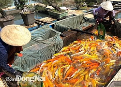 Làng nghề vào vụ Tết