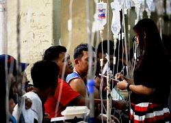 Philippines: 11 người chết, 300 người nhập viện sau khi uống rượu dừa