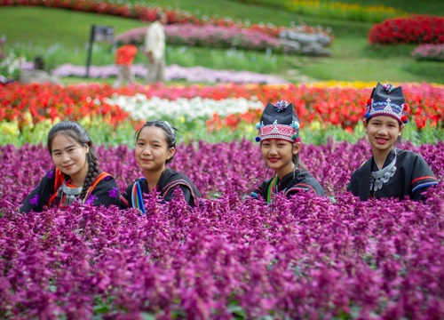 Sắc màu miền núi Doi Tung