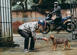 Thấy chó dễ thương, hai cô gái trẻ tháo dây rồi xách cổ lôi đi một cách thản nhiên, xem camera giám sát ai cũng phẫn nộ