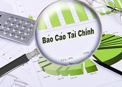 Báo cáo kiểm toán "không trung thực và hợp lý"?