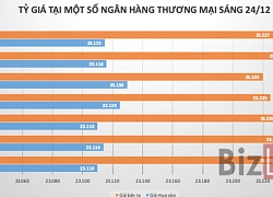 Tỷ giá trung tâm đi lên