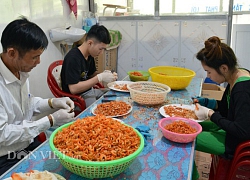 Cà Mau: Tôm khô Rạch Gốc tăng giá chóng mặt mà vẫn hút hàng