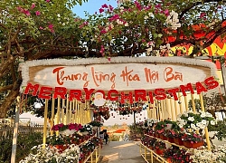 "Đập hộp" điểm "sống ảo" tại thung lũng hoa Nội Bài