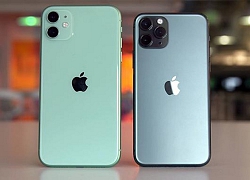 Dùng iPhone 11, chụp ảnh cuộc sống trong bóng tối ở nơi không có ánh sáng Mặt trời chiếu rọi suốt 40 ngày