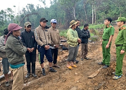 Khởi tố nhóm đối tượng phá rừng khu vực giáp ranh Đắk Lắk Khánh Hòa