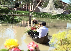 Mãn nhãn với cánh đồng hoa hồng có biểu diễn cá lóc bay